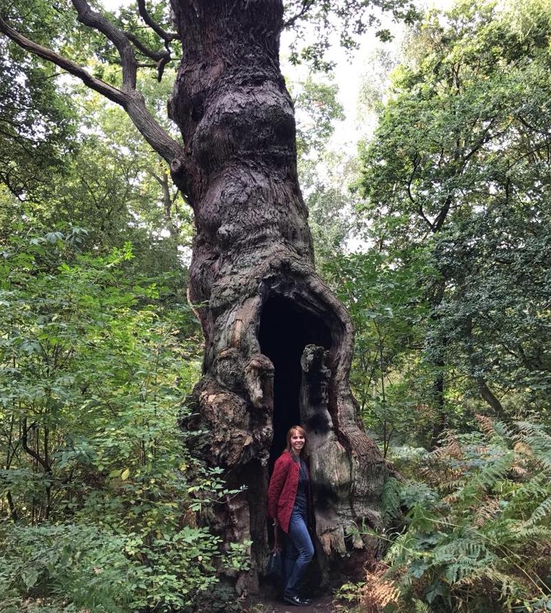 Brazil nut tree and karina krumins